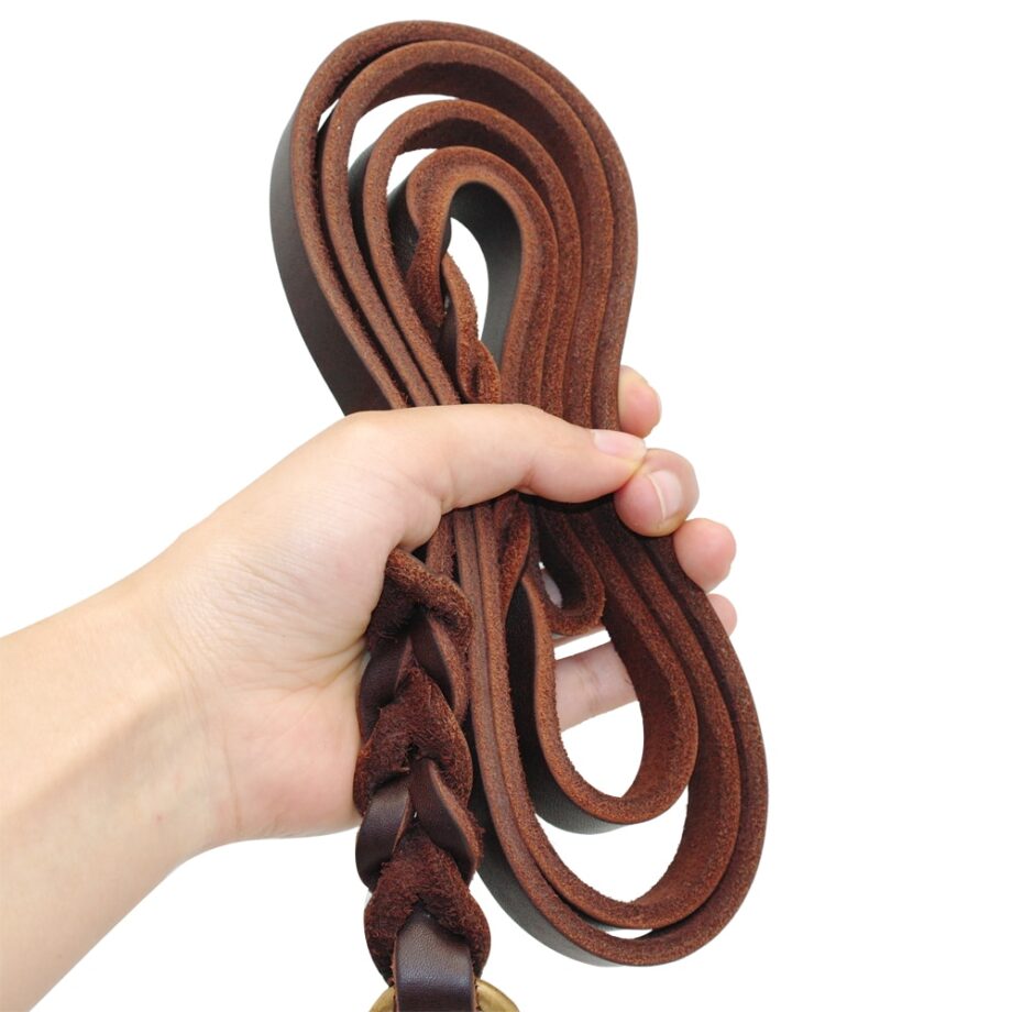 Braided Leather Dog Leash For Medium to Large Dogs