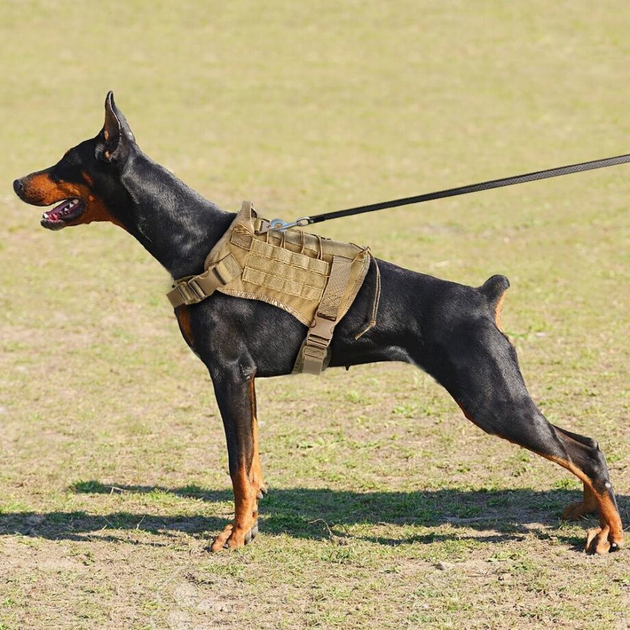 Military Tactical Dog Leash Lead For Medium Large Dogs German Shepherd
