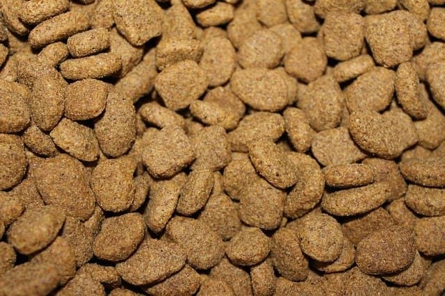 Types of outlet dog foods