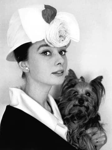 Audrey Hepburn and Mr. Famous photographed by Cecil Beaton at the Hotel Hassler, 1960.