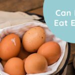 Can-Dogs-Eat-Eggs