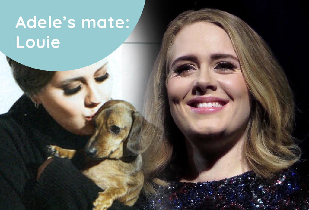 Adele's dog named Louie
