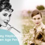 Audrey Hepburn's Pets
