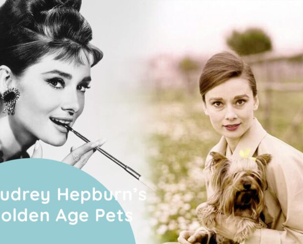 Audrey Hepburn's Pets