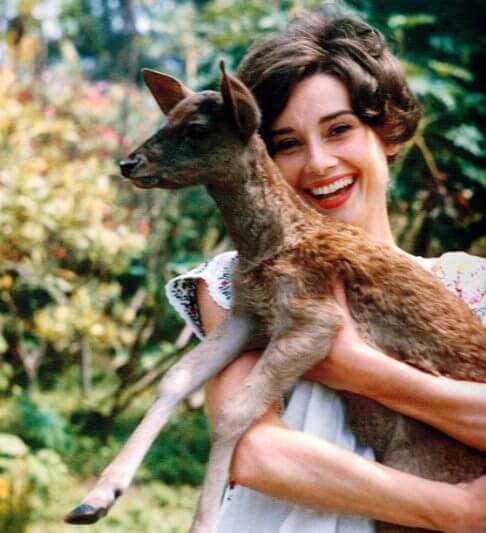 Audrey Hepburn and Her Fawn