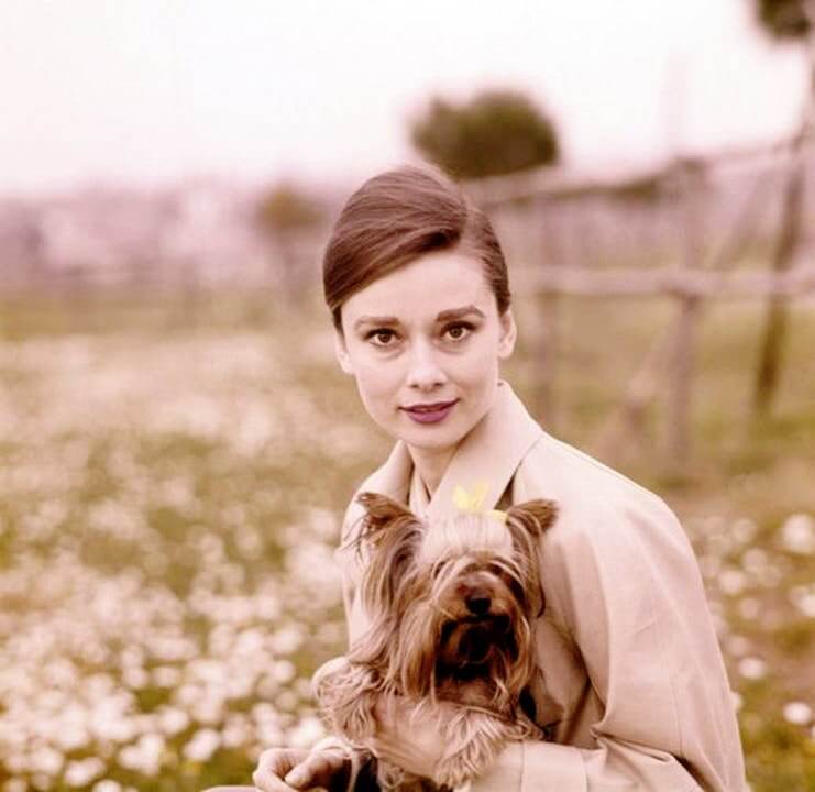 Audrey Hepburn and Mr. Famous photographed by Pierluigi Praturlon, Rome, 1960