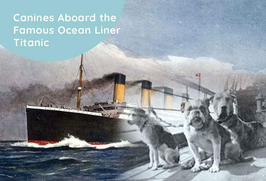 Canines Aboard the Famous Ocean Liner Titanic