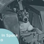 Dog In Space Laika_Feature