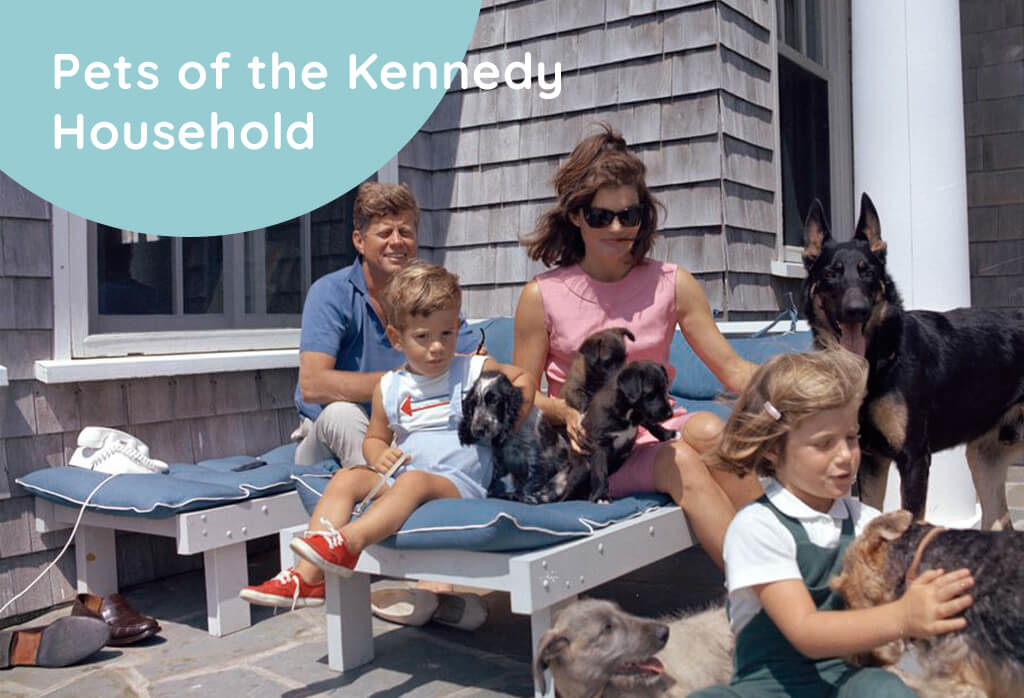 Pets of the Kennedy Household