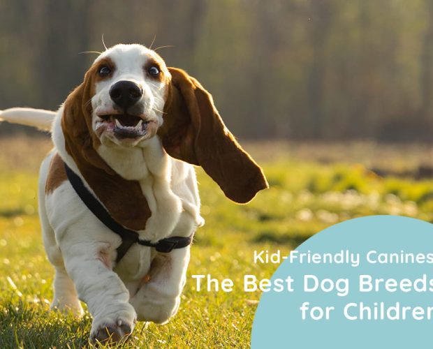 Kid-Friendly Canines: The Best Dog Breeds for Children