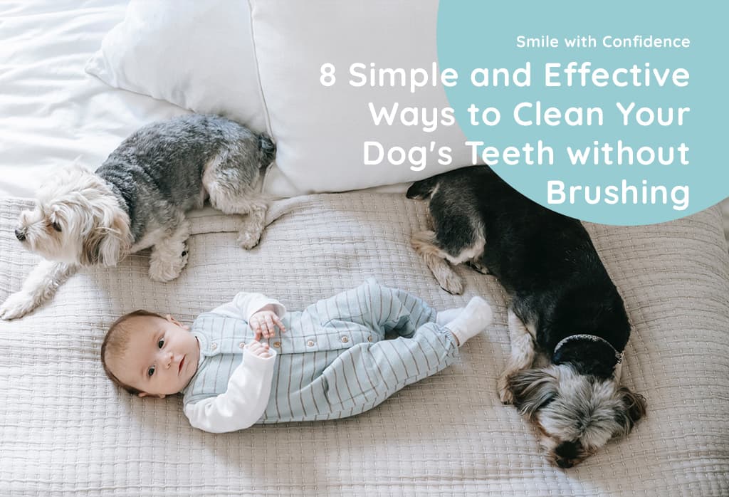 How To Clean a Dog's Teeth Without Brushing (8 Ways)