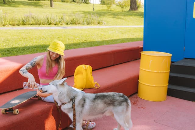 Dog drinking water from a bottle