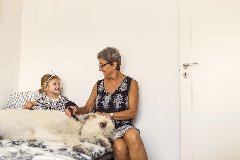 grandmother sitting in bed with granddaughter with an irish wolfhound dog 