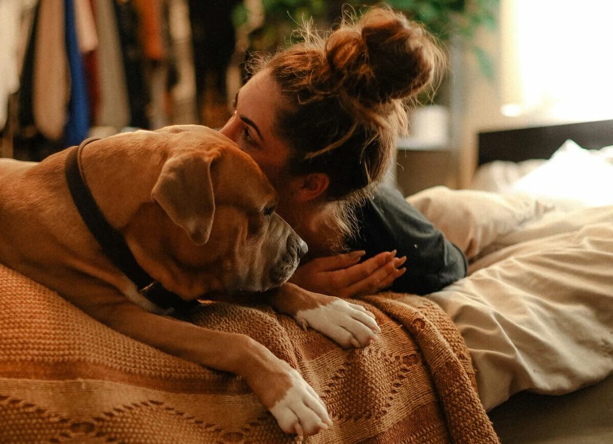 Dog and owner on bed