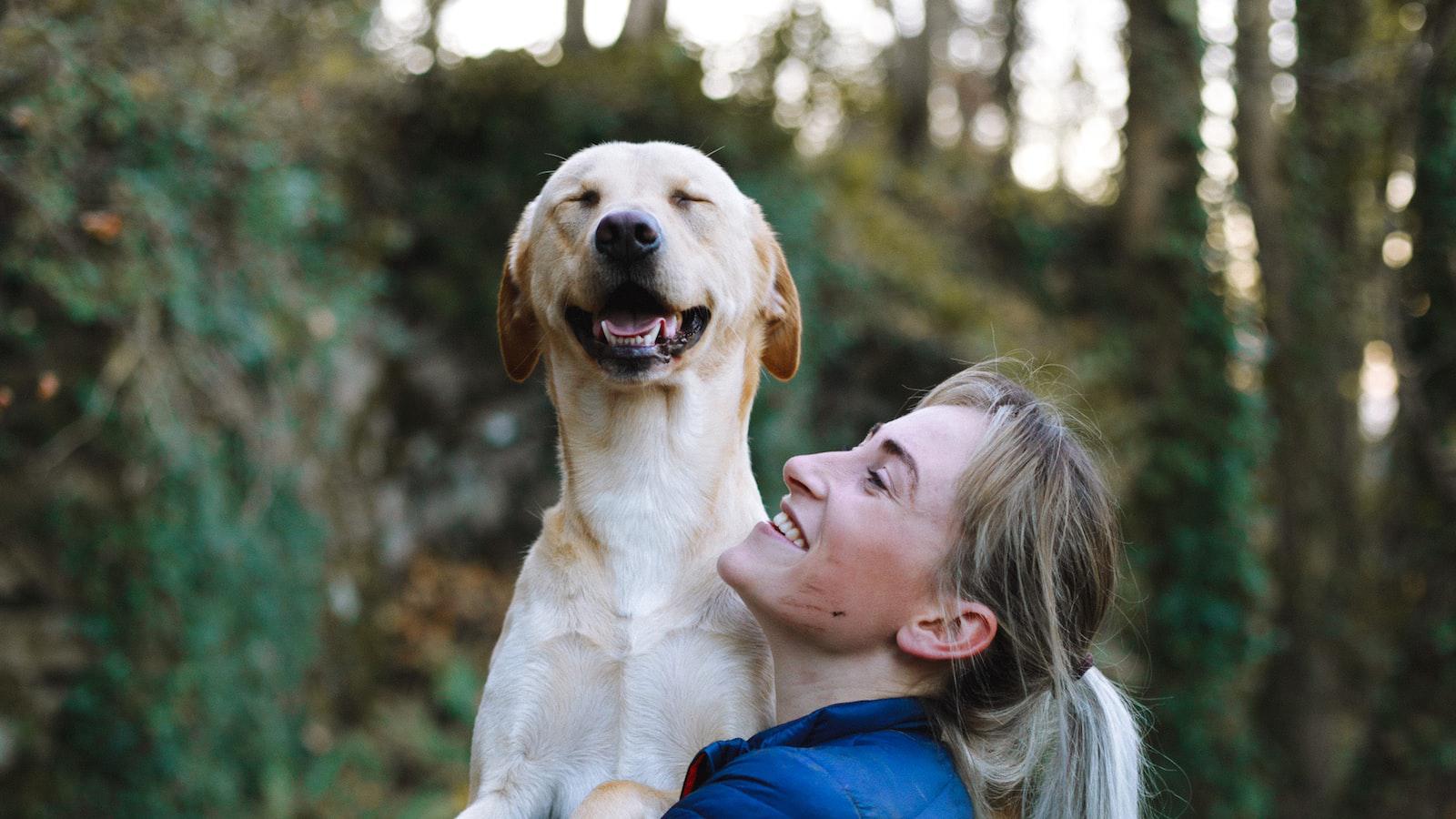 Tips for Dog‍ Owners:⁤ Ensuring Safe and Comfortable Mating Experiences for Your Pets