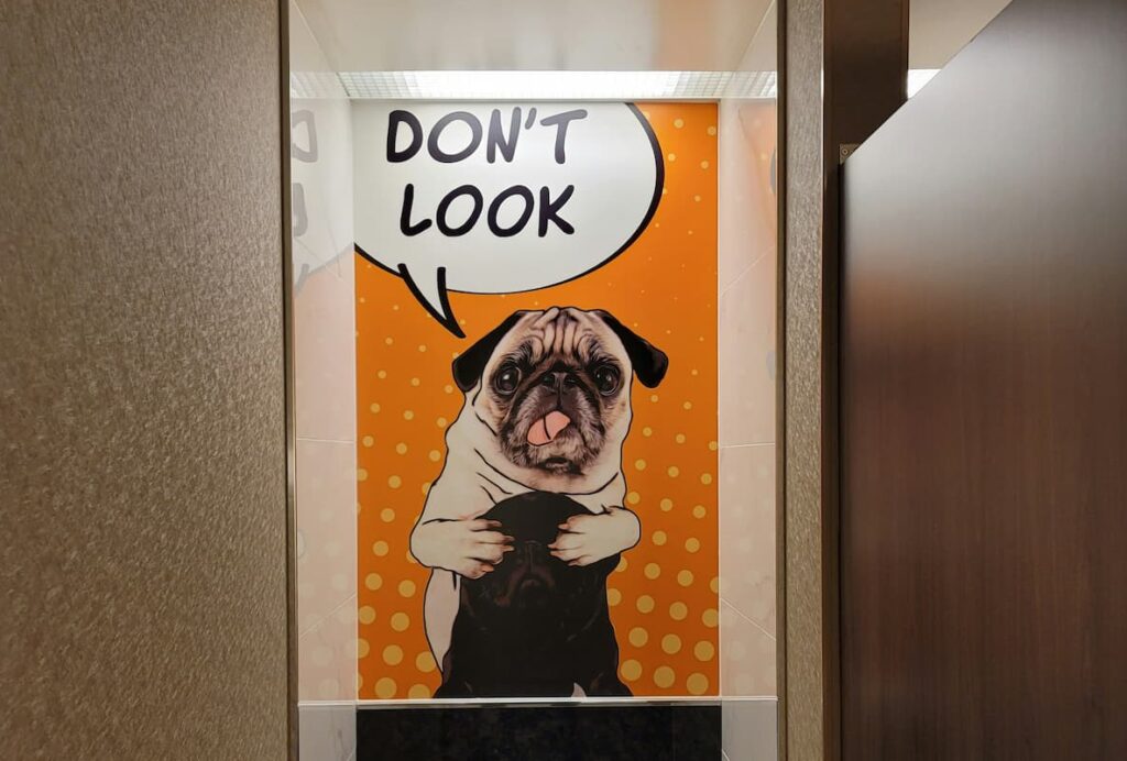 Why Does My Dog Have Diarrhea? Weary Panda